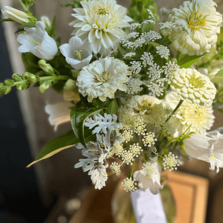 sustainably grown arrangement in white